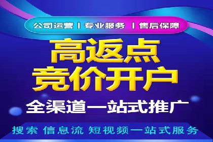 XX行业竞价广告的投放策略与效果分析